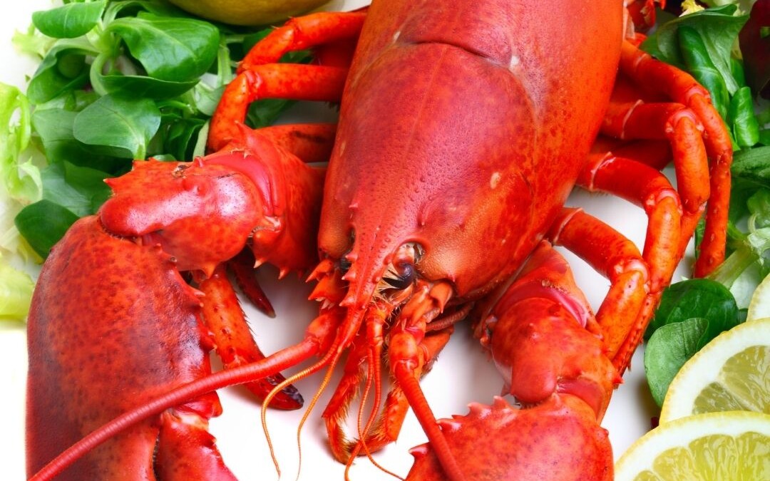 Boiled Lobster