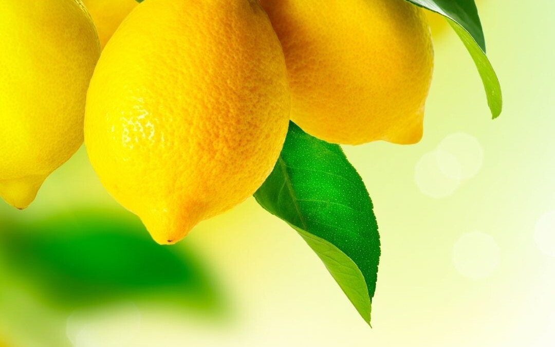 Laurie’s Lemon Lush Squares