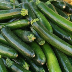 Italian Zucchini Squares